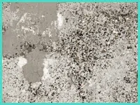 North Miami Beach Restoration Company North Miami Beach, FL 786-352-8235 - mold-sidebar