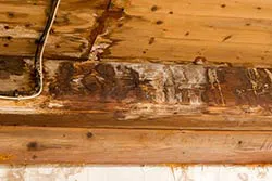 North Miami Beach Restoration Company North Miami Beach, FL 786-352-8235 North Miami Beach Restoration Company North Miami Beach, FL 786-352-8235 - service-image-2