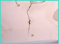 North Miami Beach Restoration Company North Miami Beach, FL 786-352-8235 - water-damage-sidebar