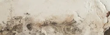 logo-image - water-damage-subbanner