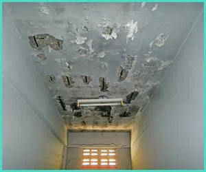 North Miami Beach Restoration Company North Miami Beach, FL 786-352-8235 - water-leaks-side